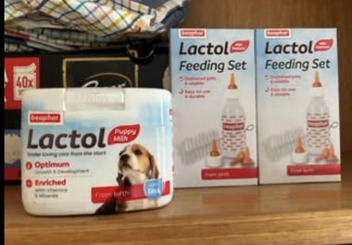 Lactol puppy milk, 2x feeding kits & umbilical clips all unopened