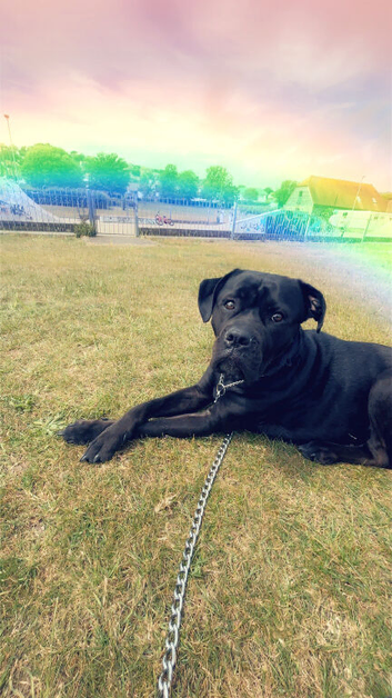 Roxy