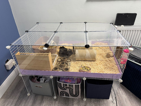 C and c cage plus liners