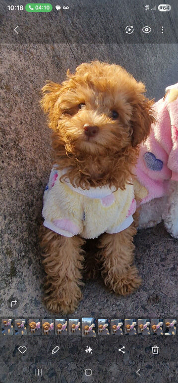 Tiny girl