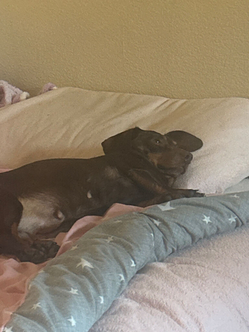 7 year old girl