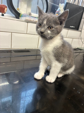 Beautiful little girl ready to leave