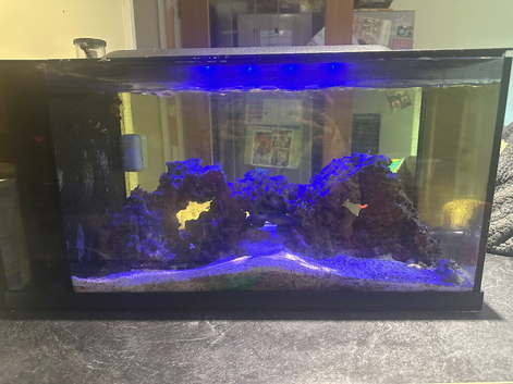 New wave 48L marine tank and contents