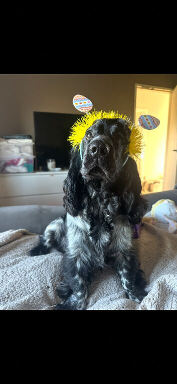 My beautiful boy!