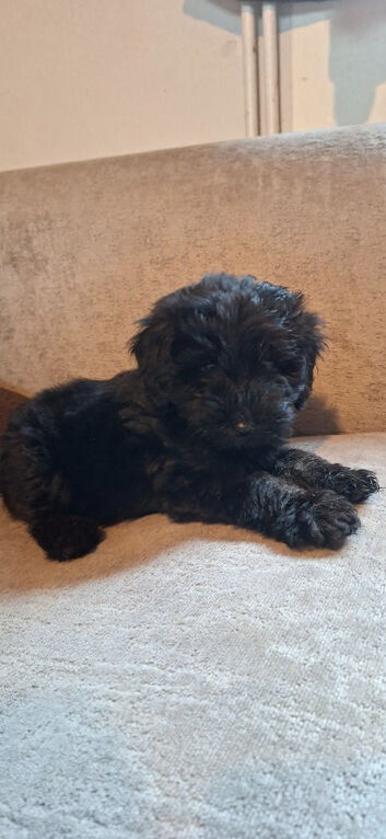Gorgeous confident little girl