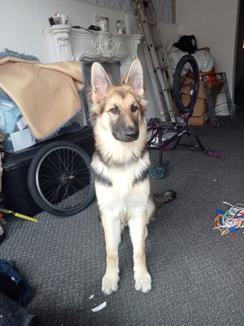 10 month old
