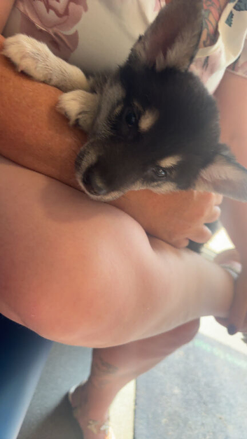 1 loving girl left and ready to go