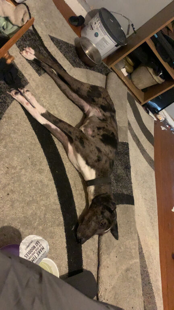 Athena for sale