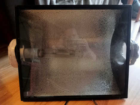 Reptile /grow lights