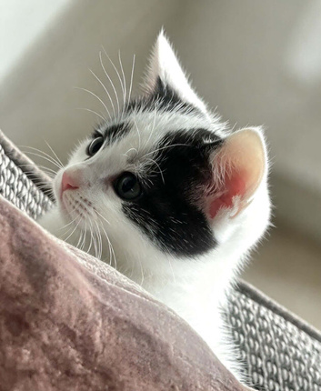 Gorgeous little boy