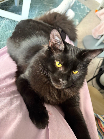 9 month old boy