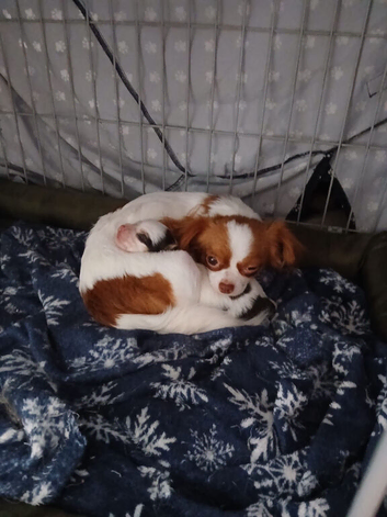 Lovely little boy