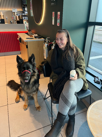 Your Dog Services