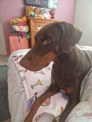 Beautiful girl