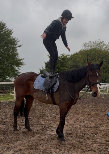 17.2hh draft mare , weight carrying ,novice ride