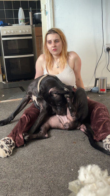 2yr old lovely dog