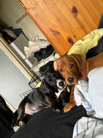 Bonnie and woodie