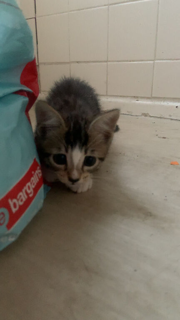 For sale