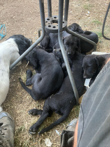 Forsale