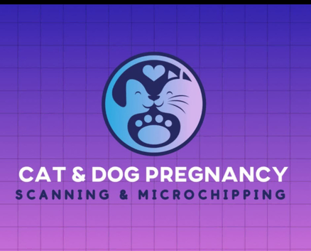 Cat & Dog Ultrasound pregnancy scanning