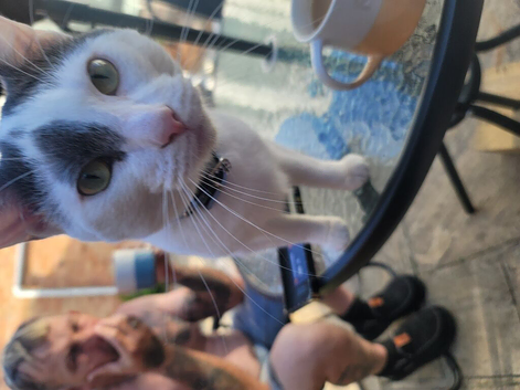 Rehoming George