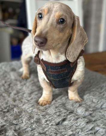 Beautiful boy