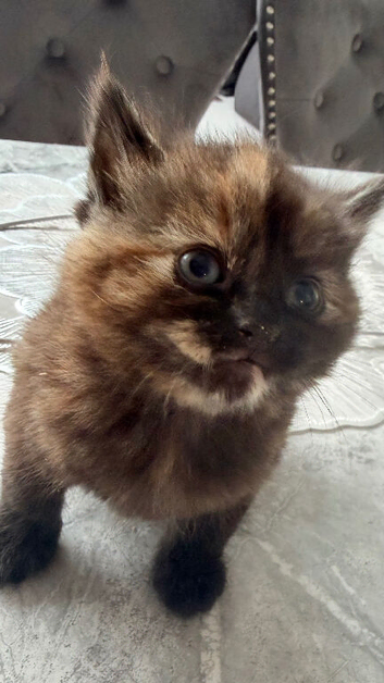 Stunning and adorable