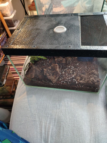 12x8x8 Glass Tank with Vented lid