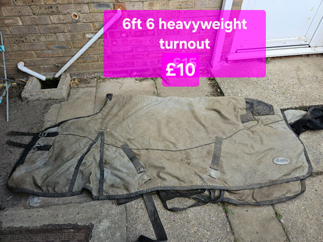 Lots of horsey items for sale bungay