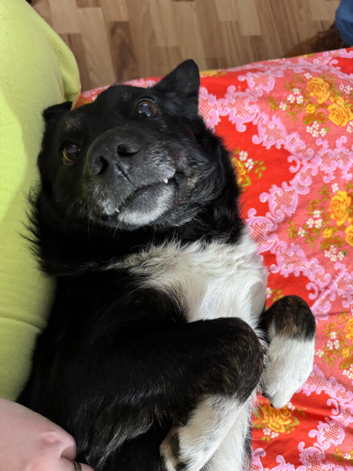 NERO – From Frozen & Forgotten to Faithful & Loving