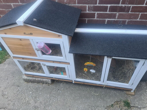 Rabbit and hutch