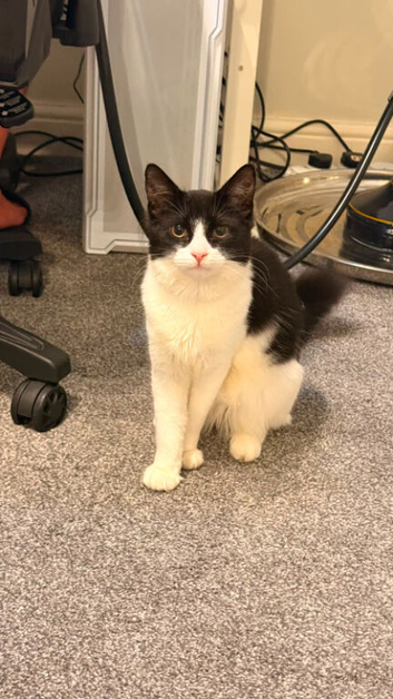Luna