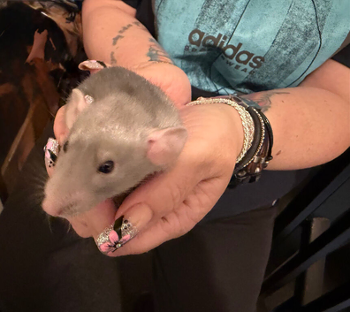 5 Boys 2 Girls available