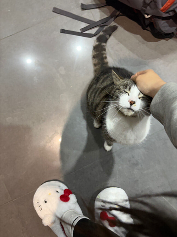 rehoming