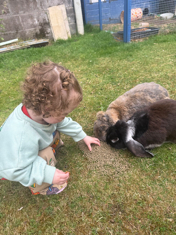 2 French lops for new home!