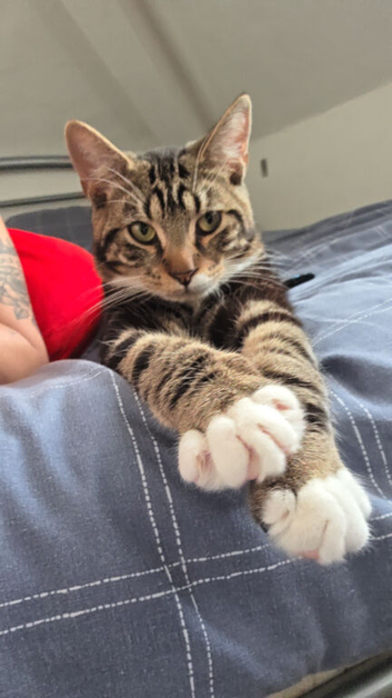 Rehome