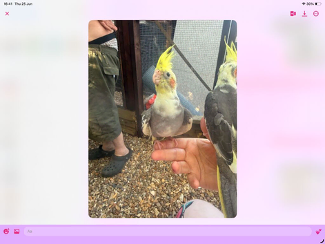 Baby cocktails for sale