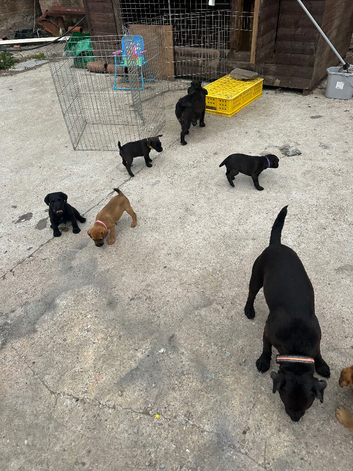 Patterdale