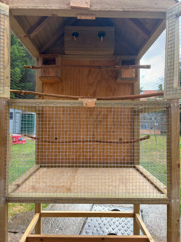 Bird cage