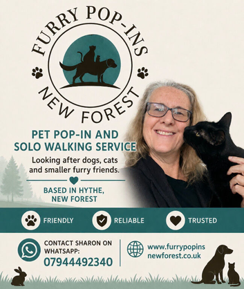 Furry Pop-Ins (New Forest)
