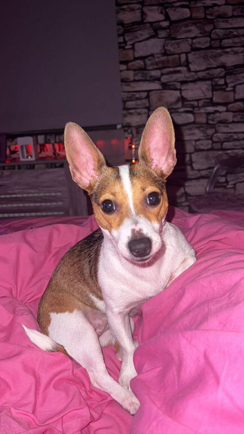 Urgent home needed