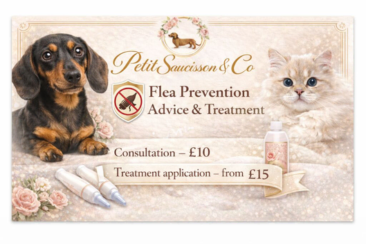 Luxury Pet Services and Grooming