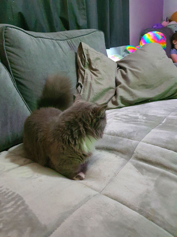 Female munchkin