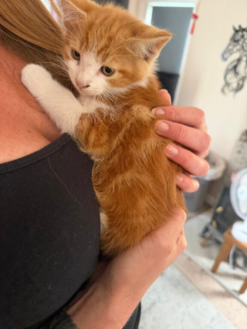 Gorgeous ginger and white boy