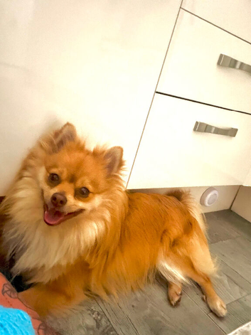 Charly 1 year old