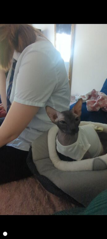 Rehome