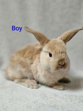 2 Boys left