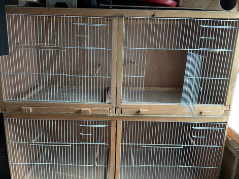 Budgie or finch breeding cages x 2 doubles good condition &pound;10 each