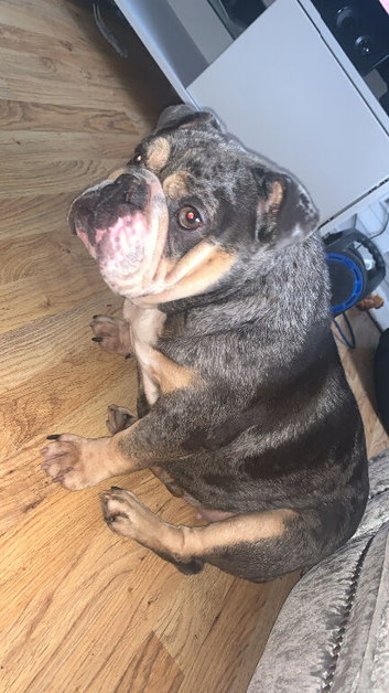 3 year old girl