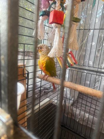 This years babies